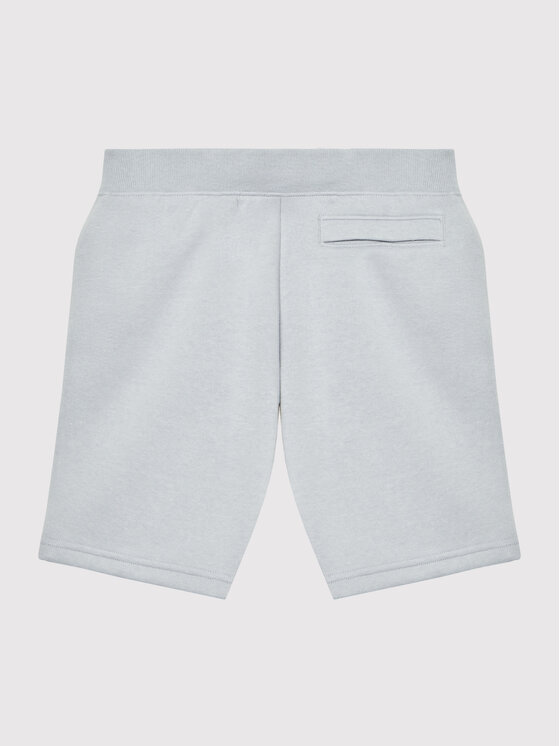 Under Armour Under Armour Спортни шорти Rival 1363508 Сив Regular Fit