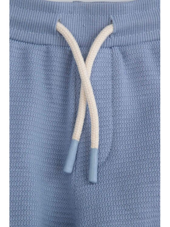 Coccodrillo Coccodrillo Spodnie dresowe WC5120101HBN-014 Niebieski Regular Fit