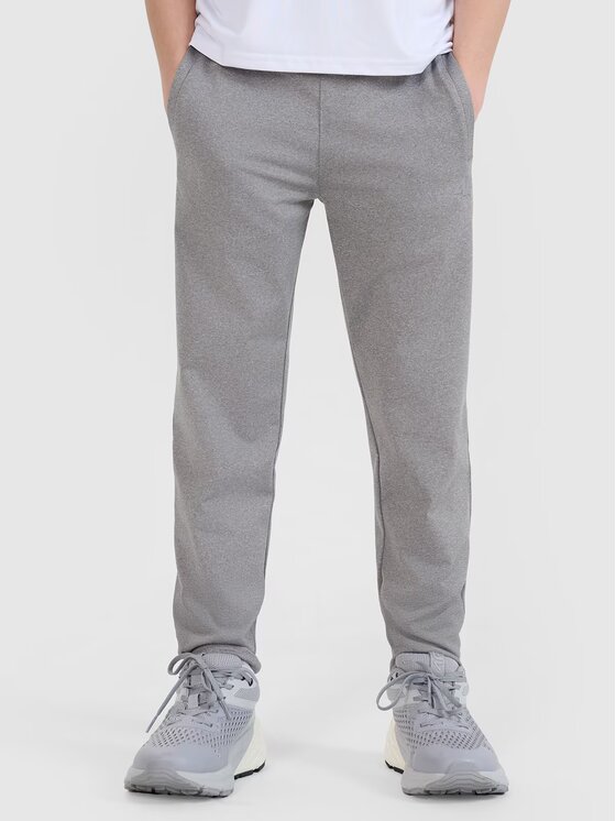4F 4F Spodnie dresowe 4FJWSS25TFTRM0877-27M Szary Regular Fit