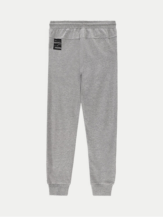 Coccodrillo Coccodrillo Jogginghose ZC4120104VBA Grau Slim Fit