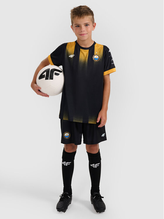 4F 4F Koszulka techniczna TEAMWEAR Kolorowy Regular Fit