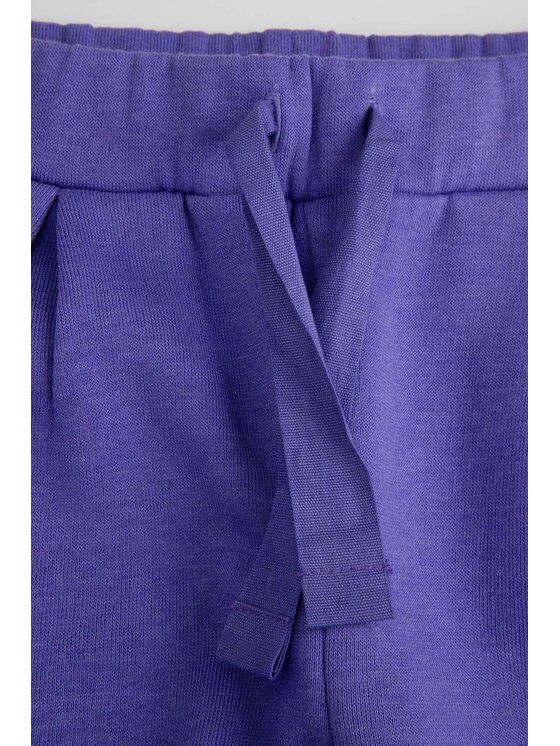 Coccodrillo Coccodrillo Spodnie dresowe ZC5120201RGK-016 Fioletowy Regular Fit