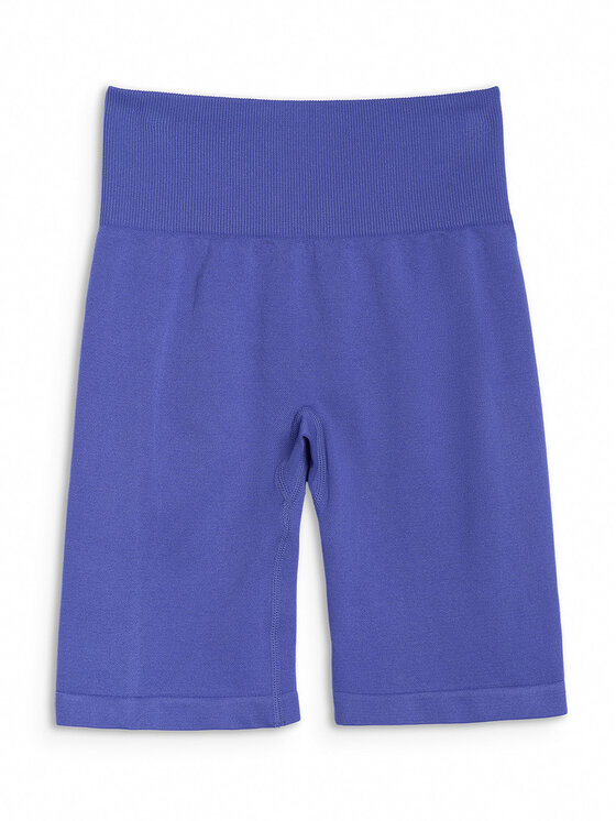 4F 4F Szorty sportowe MULTI ACTIVE Niebieski Slim Fit