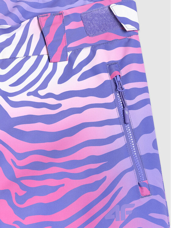 4F 4F Spodnie snowboardowe SNOWBOARD Kolorowy Regular Fit
