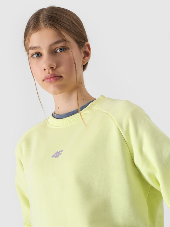 4F 4F Mikina 4FJWSS24TSWSF0920-72S Zelená Regular Fit