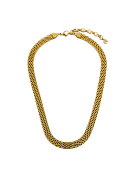 Aldo Aldo Намисто Cheritan 13868460 Золотий