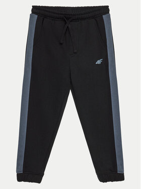 4F 4F Спортивні штани 4FJWAW24TTROM759 Чорний Regular Fit