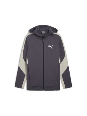 Puma Puma Bluza 681700 Szary Regular Fit