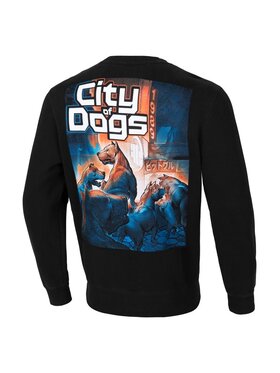 PITBULL PITBULL Bluza Bluza męska City Of Dogs S Czarny Regular Fit