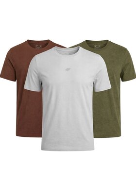 4F 4F T-Shirt Z-TTSHM3947-3-B Biały Regular Fit
