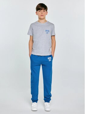 BIG STAR BIG STAR T-Shirt RAFER_902_150 Szary Basic Fit