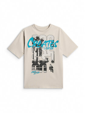 4F 4F T-Shirt SKATE & RIDE Szary jasny Loose Fit