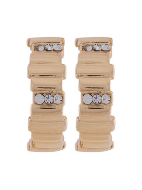 Σετ σκουλαρίκια Aldo φωτογραφία