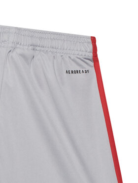 Αθλητικό σορτς adidas φωτογραφία