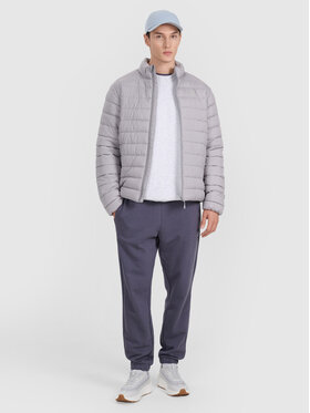 4F 4F Kurtka puchowa MIDSHOP TEXTILE Szary Regular Fit