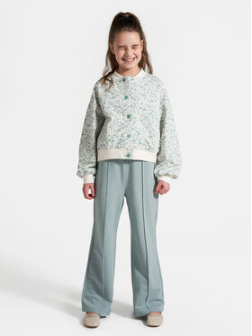 Coccodrillo Coccodrillo Hlače WC4120103GEJ Zelena Relaxed Fit