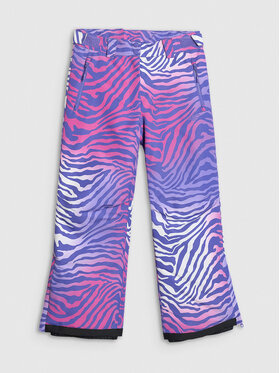 4F 4F Spodnie snowboardowe SNOWBOARD Kolorowy Regular Fit