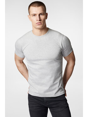 Próchnik Próchnik T-Shirt PM6 TS073124000035 Szary Regular Fit