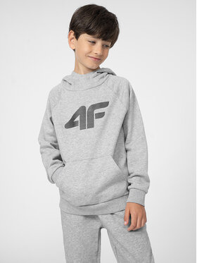 4F 4F Mikina 4FJSS23TSWSM220 Šedá Regular Fit