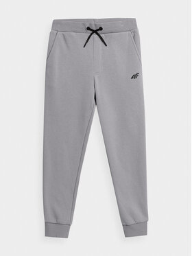 4F 4F Спортивні штани 4FJAW23TTROM411 Сірий Regular Fit