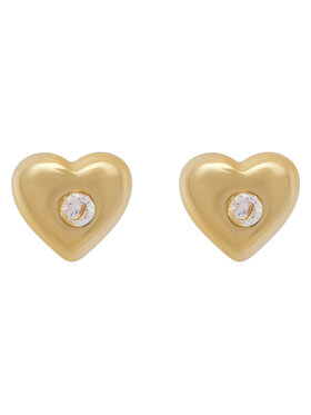 Σετ κολιέ και σκουλαρίκια Coach φωτογραφία