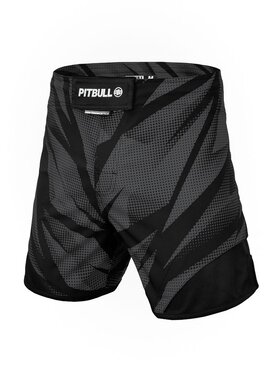 PITBULL PITBULL Szorty sportowe Spodenki treningowe Jet Mesh Performance Pro plus Dot Camo II M Szary Regular Fit