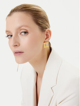 Elisabetta Franchi Elisabetta Franchi Kõrvarõngad OR-12M-56E2-V140 Kuldne