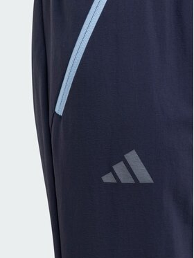 adidas adidas Spodnie outdoor 162739 Niebieski jasny Regular Fit