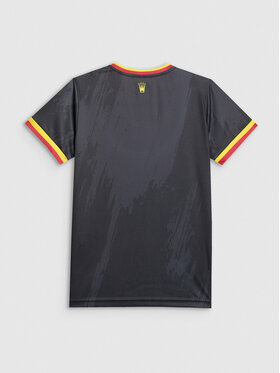4F 4F Koszulka techniczna TEAMWEAR Kolorowy Regular Fit