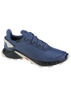Salomon Salomon Buty Salomon Alphacross 4 GTX Szary