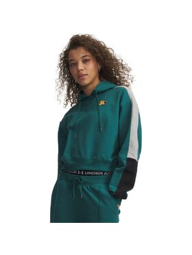 Under Armour Under Armour Bluza 6009705 Zielony Relaxed Fit