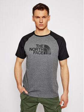 The North Face The North Face Marškinėliai Raglan Easy Tee NF0A37FV Pilka Regular Fit