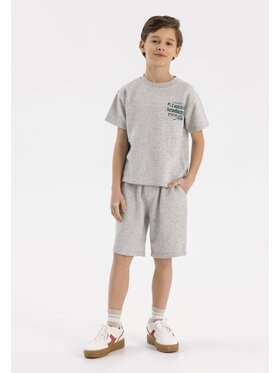 minoti minoti T-Shirt 23fleece71 Szary Regular Fit