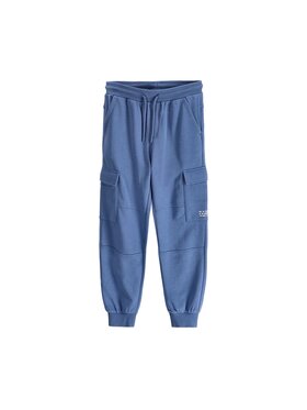 Coccodrillo Coccodrillo Spodnie dresowe ZC6120104WBJ-014 Niebieski Regular Fit