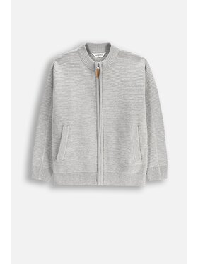 Coccodrillo Coccodrillo Sweter WC5172201BSB-019 Szary Regular Fit