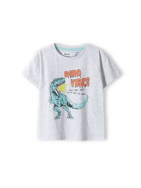 minoti minoti T-Shirt 13tee 20 Szary Regular Fit