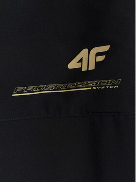 4F 4F Spodnie dresowe GOLDEN WARRIOR Czarny Regular Fit