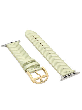 Ted Baker Ted Baker Сменяема каишка за часовник Apple Watch BKS38F114B0 Златист