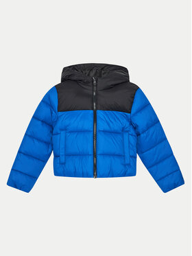4F 4F Зимова куртка 4FJWAW24TDJAM462 Голубий Regular Fit