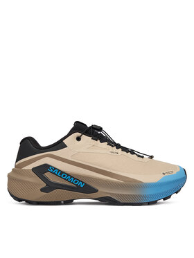 Salomon Salomon Маратонки за бягане Genesis 2 GORE-TEX L49302000 Бежов