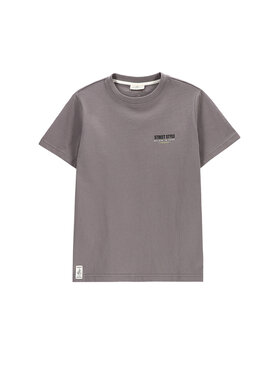 Coccodrillo Coccodrillo Tricou WC5143206VBB Gri Regular Fit