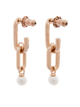 Σκουλαρίκια Swarovski φωτογραφία