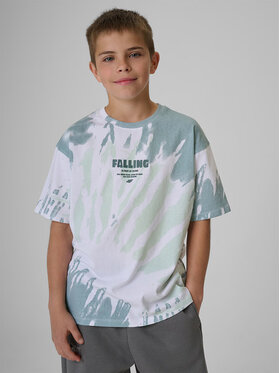 4F 4F T-Shirt SKATE & RIDE Kolorowy Loose Fit