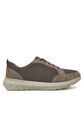 Josef Seibel Josef Seibel Tossud Cameron 14 33614 Hall