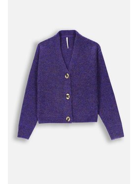 Coccodrillo Coccodrillo Sweter ZC4172201AGJ-016 Fioletowy Regular Fit