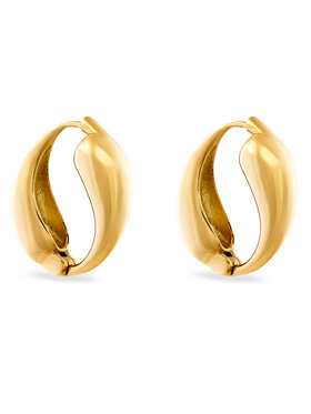 Σκουλαρίκια Aldo φωτογραφία