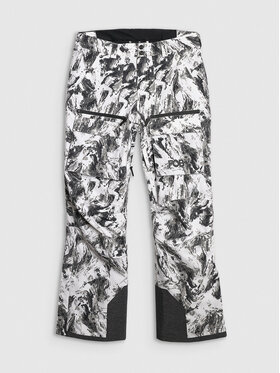 4F 4F Spodnie snowboardowe FOB Kolorowy Regular Fit