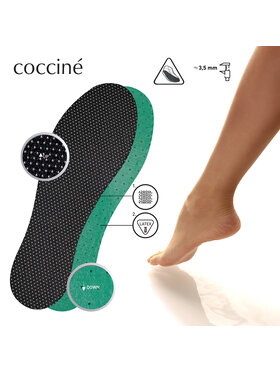 Πάτοι Coccine φωτογραφία