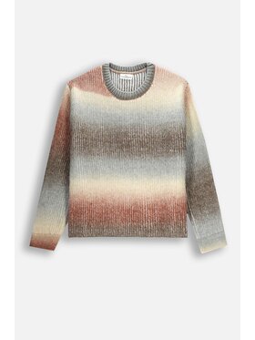 Coccodrillo Coccodrillo Sweter ZC4172103RGJ-022 Kolorowy Regular Fit