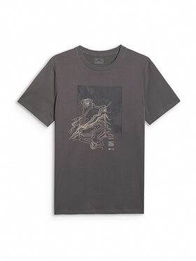 4F 4F T-Shirt TREKKING Szary Regular Fit